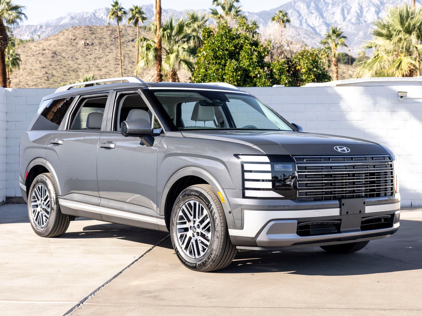 2026 Hyundai PALISADE — side profile view